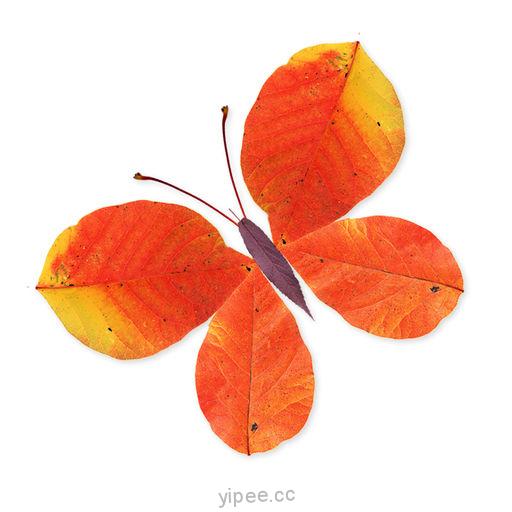 【iOS APP】Labo Leaves 樹葉藝術創作