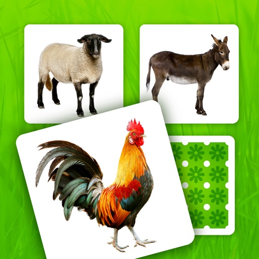 【iOS APP】Farm Pairs – Match Animals 動物圖卡記憶力遊戲