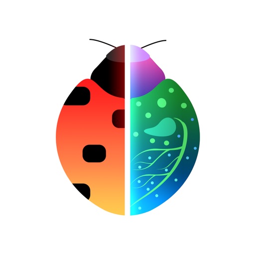 【iOS APP】Insect Identification 昆蟲識別軟體