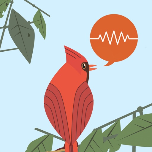 【iOS APP】ChirpOMatic – BirdSong USA 透過歌曲和叫聲識別鳥類：北美鳥類